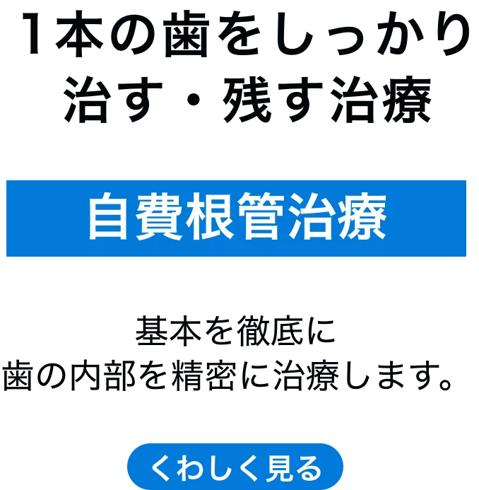 自費根管治療 1本の歯をしっかり治す・残す治療 基本的なことを徹底的に歯の内部を治療します